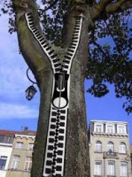 /album/alzira-urbanart/ziper-arvore-jpg/